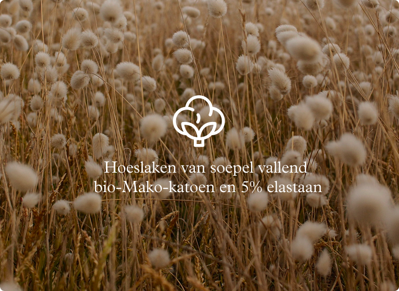 Premium Spannbettlaken